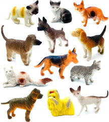 Фигурки животных (коты, собаки) Jin. 8-10 см цена и информация | Развивающие игрушки | pigu.lt