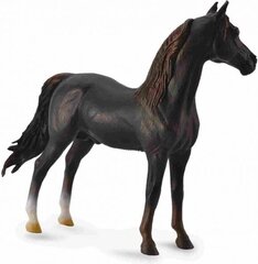 Figūrėlė Morgano veislės kaštoninis žirgas Collecta (XL), 88647 kaina ir informacija | Žaislai berniukams | pigu.lt