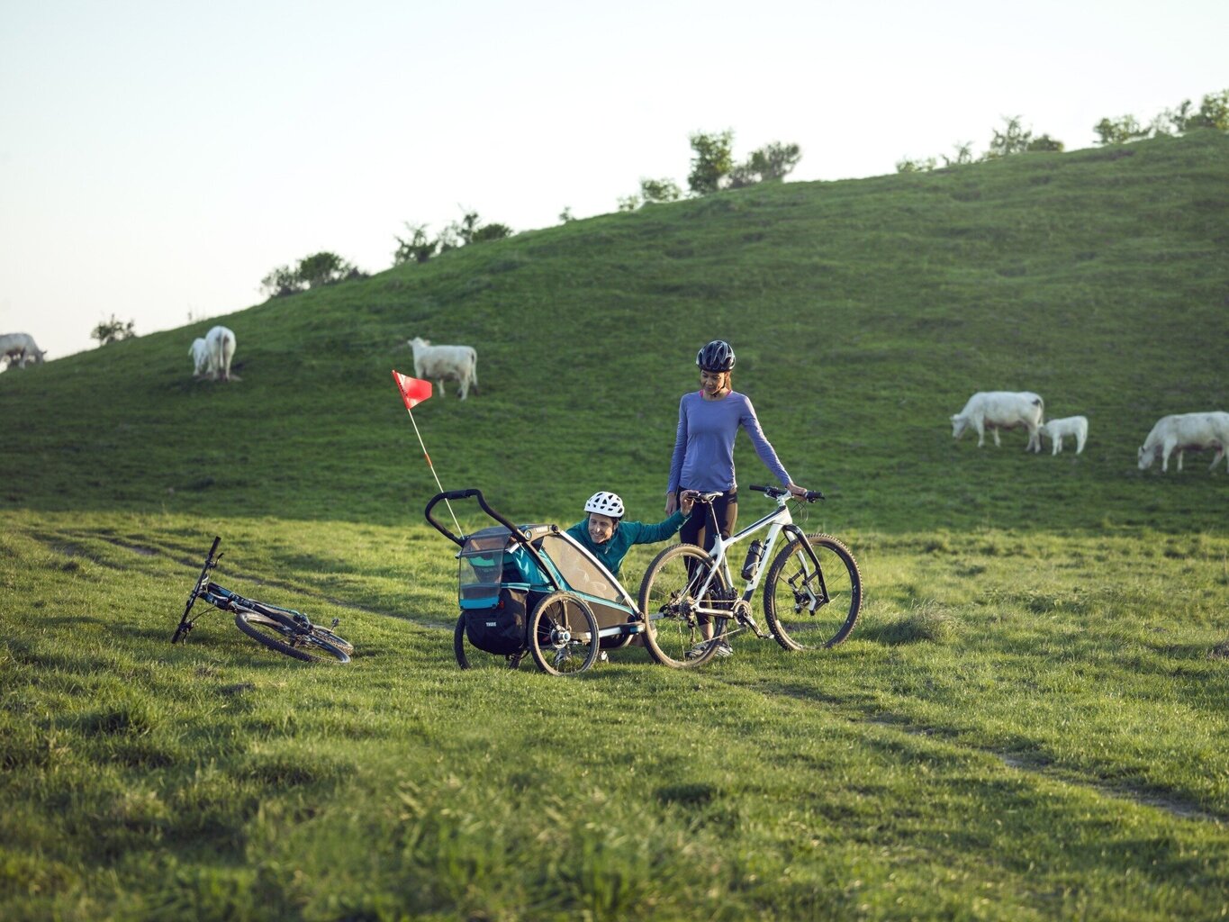 Vaikiško dviračio vežimėlio ratas Chariot Jog Kit 1 – Lite/Cross kaina ir informacija | Dviračių kameros ir padangos | pigu.lt