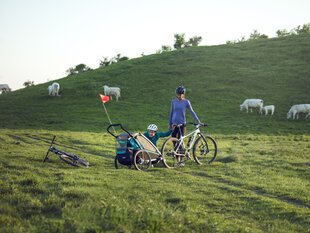 Vaikiškas dviračio vežimėlis Chariot Jog Kit 2 – Lite/Cross kaina ir informacija | Dviračių priekabos, vėžimėliai | pigu.lt