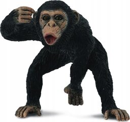 Фигурка CollectA Самец шимпанзе 88492 цена и информация | Игрушки для мальчиков | pigu.lt