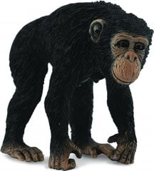 Figūrėlė CollectA Šimpanzės patelė 88493 kaina ir informacija | Žaislai berniukams | pigu.lt