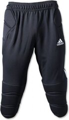 Брюки Adidas Tierro 13, черные цена и информация | Футбольная форма и другие товары | pigu.lt