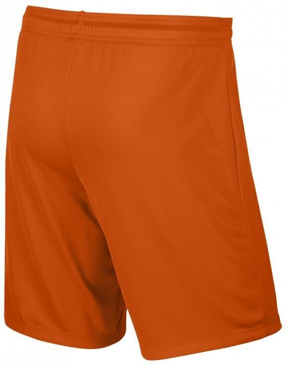 Nike vyriški šortai Park II M, oranžiniai kaina ir informacija | Vyriški šortai | pigu.lt