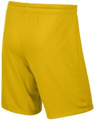 Мужские спортивные шорты Nike 725887-739, желтые цена и информация | Мужская спортивная одежда | pigu.lt