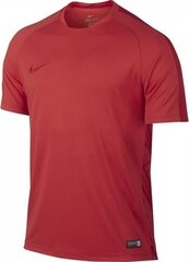 Nike vyriški marškinėliai Graphic Flash Neymar, raudoni kaina ir informacija | Vyriški marškinėliai | pigu.lt