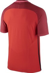 Мужская футболка Nike Strike Top SS, красная цена и информация | Футбольная форма и другие товары | pigu.lt