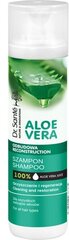 Šampūnas Elfa Pharm Aloe, 250 ml kaina ir informacija | Šampūnai | pigu.lt