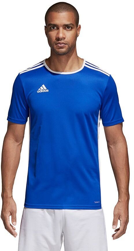 Marškinėliai vyrams Adidas Entrada 18 CF1037, mėlyni цена и информация | Sportinė apranga vyrams | pigu.lt