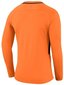 Vartininko džemperis Nike Dry Park III LS M 894509-803, oranžinis kaina ir informacija | Futbolo apranga ir kitos prekės | pigu.lt