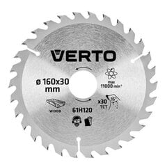 Deimantinis diskas Verto, 160x20mm, 30Z kaina ir informacija | Sodo technikos dalys | pigu.lt