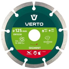 Verto deimantinis diskas 125x22.2mm Segmented 61H2S5 kaina ir informacija | Šlifuokliai | pigu.lt