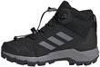 Aulinukai vaikams Adidas Terrex Mid Gtx K kaina ir informacija | Aulinukai vaikams | pigu.lt