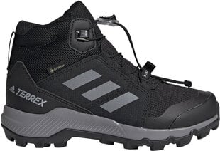 Adidas Обувь для подростков Terrex Mid Gtx K Black цена и информация | Детские сапоги | pigu.lt