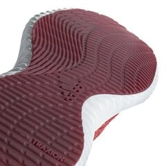 Adidas Обувь AlphaBounce Trainer Red цена и информация | Кроссовки для мужчин | pigu.lt