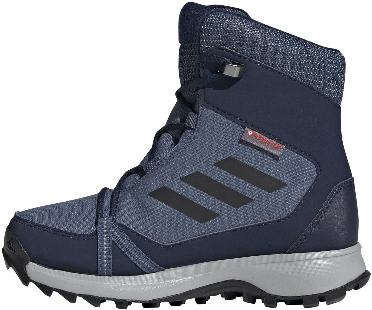 Aulinukai vaikams Adidas Terrex Snow CP CW K kaina ir informacija | Aulinukai vaikams | pigu.lt