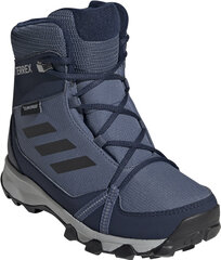 Aulinukai vaikams Adidas Terrex Snow CP CW K kaina ir informacija | Aulinukai vaikams | pigu.lt