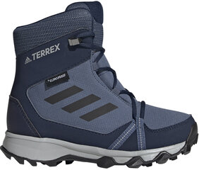 Aulinukai vaikams Adidas Terrex Snow CP CW K kaina ir informacija | Aulinukai vaikams | pigu.lt