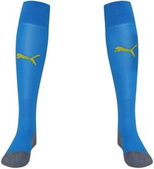 Носки Puma Team Liga Sock Core Blue цена и информация | Puma Спортивные товары | pigu.lt