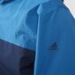 Vyriška striukė Adidas Wandertag J CB цена и информация | Vyriškos striukės | pigu.lt