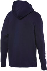 Puma Джемпер Rebel Bold FZ Hoody FL Blue цена и информация | Мужские толстовки | pigu.lt