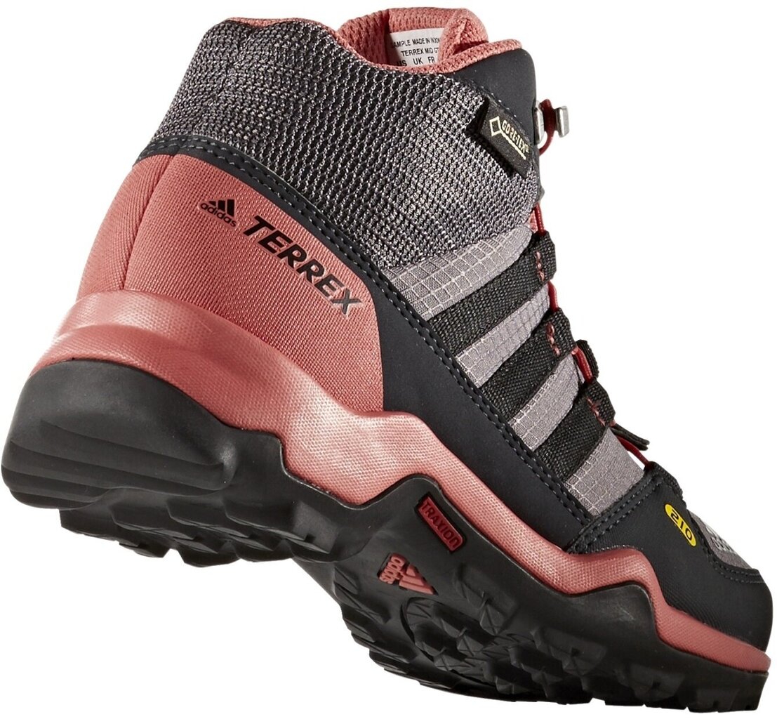 Aulinukai mergaitėms Adidas Terrex Mid Gtx kaina ir informacija | Aulinukai vaikams | pigu.lt