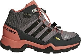 Aulinukai mergaitėms Adidas Terrex Mid Gtx kaina ir informacija | Aulinukai vaikams | pigu.lt