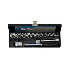 Набор гаечных ключей Honiton 4030, 13 шт. цена и информация | Механические инструменты | pigu.lt