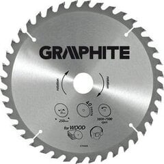 Pjovimo diskas Graphite, 210x30 mm kaina ir informacija | Sodo technikos dalys | pigu.lt