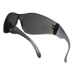 Защитные очки BRAVA2, темный цена и информация | Защита для лица и головы | pigu.lt