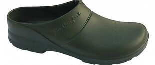 Сабо Lemigo Bio Comfort, 728580037A, зеленые цена и информация | Рабочая обувь | pigu.lt