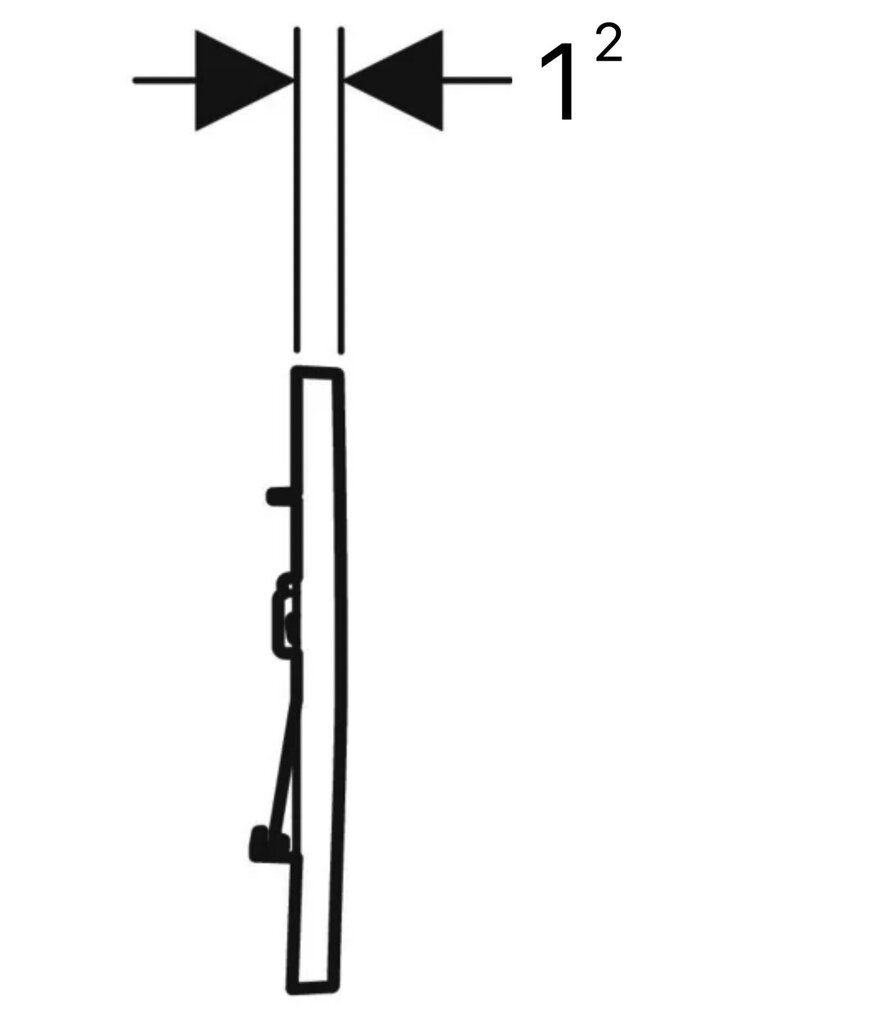 Vandens nuleidimo mygtukas Geberit Sigma30,115.883.01.1 kaina ir informacija | Priedai unitazams, bidė | pigu.lt