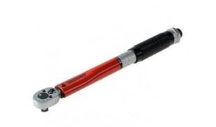 Ключ Teng Tools 1/4" 277 мм 5-25 Нм (73190035) цена и информация | Механические инструменты | pigu.lt