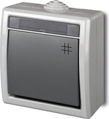 Выключатель Elektro-Plast Aquant IP55 (1206-10), серый цена и информация | Выключатели, розетки | pigu.lt