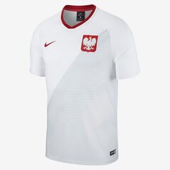 Nike vyriški marškinėliai FTBL Top SS Home, balti kaina ir informacija | Vyriški marškinėliai | pigu.lt