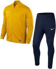 Мужской спортивный костюм Nike 808757 739, желтый цена и информация | Мужская спортивная одежда | pigu.lt