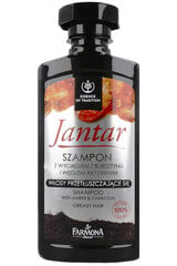 Шампунь для жирных волос Farmona Jantar, 330 мл цена и информация | Шампуни | pigu.lt
