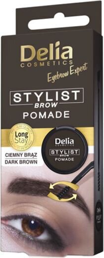 Antakių pomada Delia Eyebrow Stylist Brow Pomade Dark Brown, 4g цена и информация | Antakių dažai, pieštukai | pigu.lt