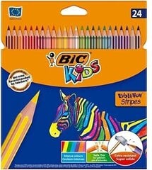 Цветные карандаши Bic Eco, 24 шт. цена и информация | Принадлежности для рисования, лепки | pigu.lt