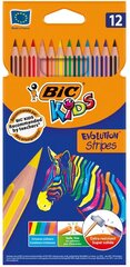 Spalvoti pieštukai BIC Evolution, 12 spalv kaina ir informacija | Piešimo, tapybos, lipdymo reikmenys | pigu.lt
