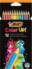 Цветные карандаши Color Up, набор из 12 шт. разного цвета, 950527 цена и информация | Принадлежности для рисования, лепки | pigu.lt