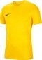Nike vyriški marškinėliai, geltoni kaina ir informacija | Vyriški marškinėliai | pigu.lt
