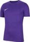 Nike vyriški marškinėliai, violetiniai kaina ir informacija | Vyriški marškinėliai | pigu.lt