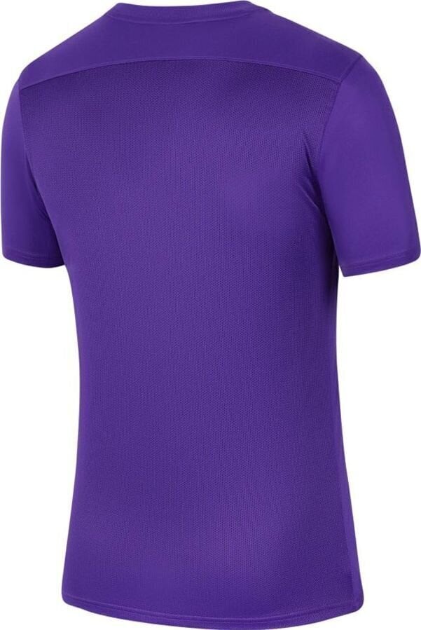 Nike vyriški marškinėliai, violetiniai цена и информация | Vyriški marškinėliai | pigu.lt