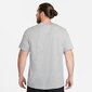 Nike vyriški marškinėliai AR4997 064, pilki kaina ir informacija | Vyriški marškinėliai | pigu.lt