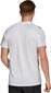 Vyriški marškinėliai adidas Regista 20 Jersey FI4553, balta kaina ir informacija | Futbolo apranga ir kitos prekės | pigu.lt