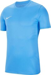 Nike футболка мужская, синяя. цена и информация | Футболка мужская | pigu.lt