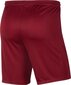 Sportiniai šortai vyrams Nike Dry Park III M BV6855-677, raudoni цена и информация | Sportinė apranga vyrams | pigu.lt