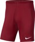 Sportiniai šortai vyrams Nike Dry Park III M BV6855-677, raudoni kaina ir informacija | Sportinė apranga vyrams | pigu.lt