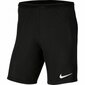 Sportiniai šortai vyrams Nike iii knit bv6855 010, juodi kaina ir informacija | Sportinė apranga vyrams | pigu.lt
